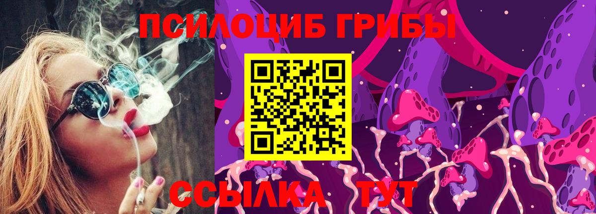 Галлюциногенные грибы MAGIC MUSHROOMS  Вход с VPN  что такое   Уварово 