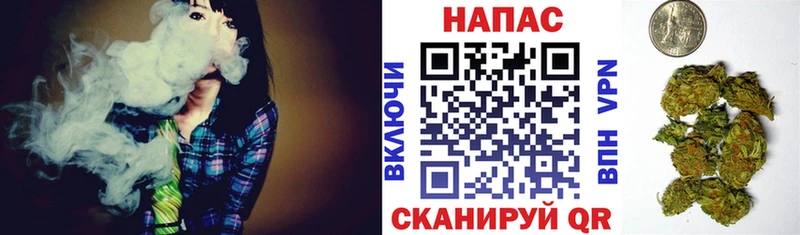 мега онион Уварово Бошки марихуана индика